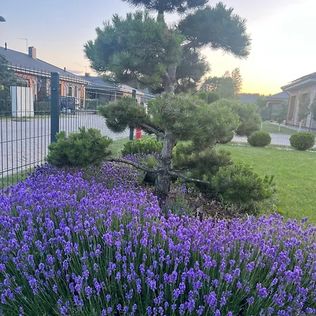 Poilsio Oaze Kunigiskese 아파트