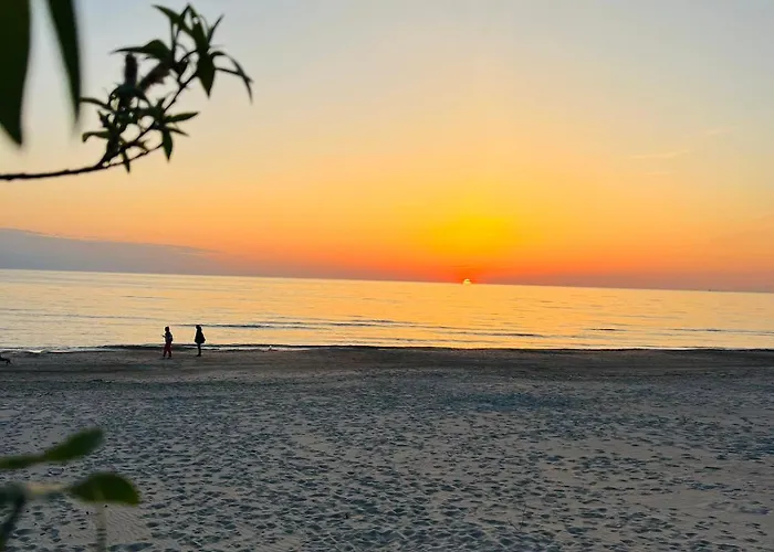 Apartment Poilsio Oaze Kunigiskese