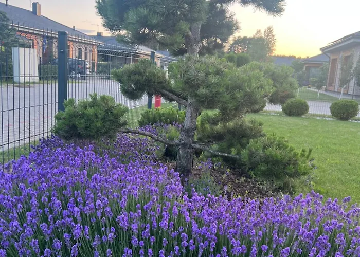 Poilsio Oaze Kunigiskese Apartment